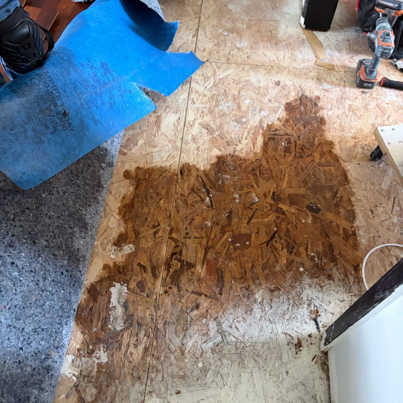 Moisture meter reading on drywall in Pittsboro water loss